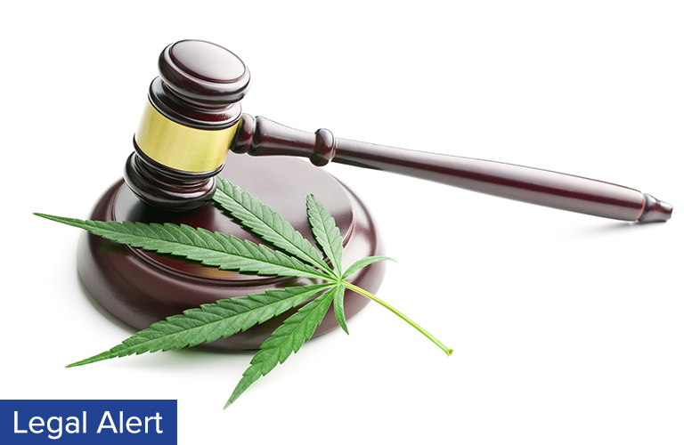 GA Hemp Regulations