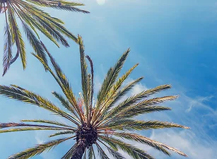 Los Angeles