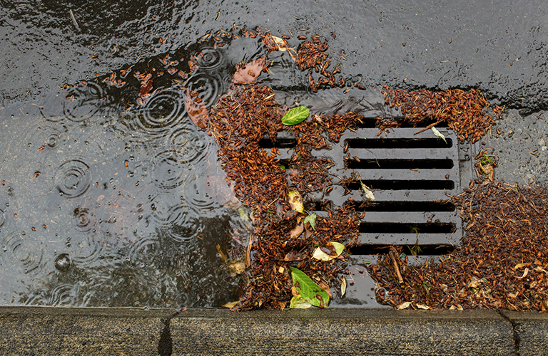 Storm Drain: NPDES Stormwater Permit