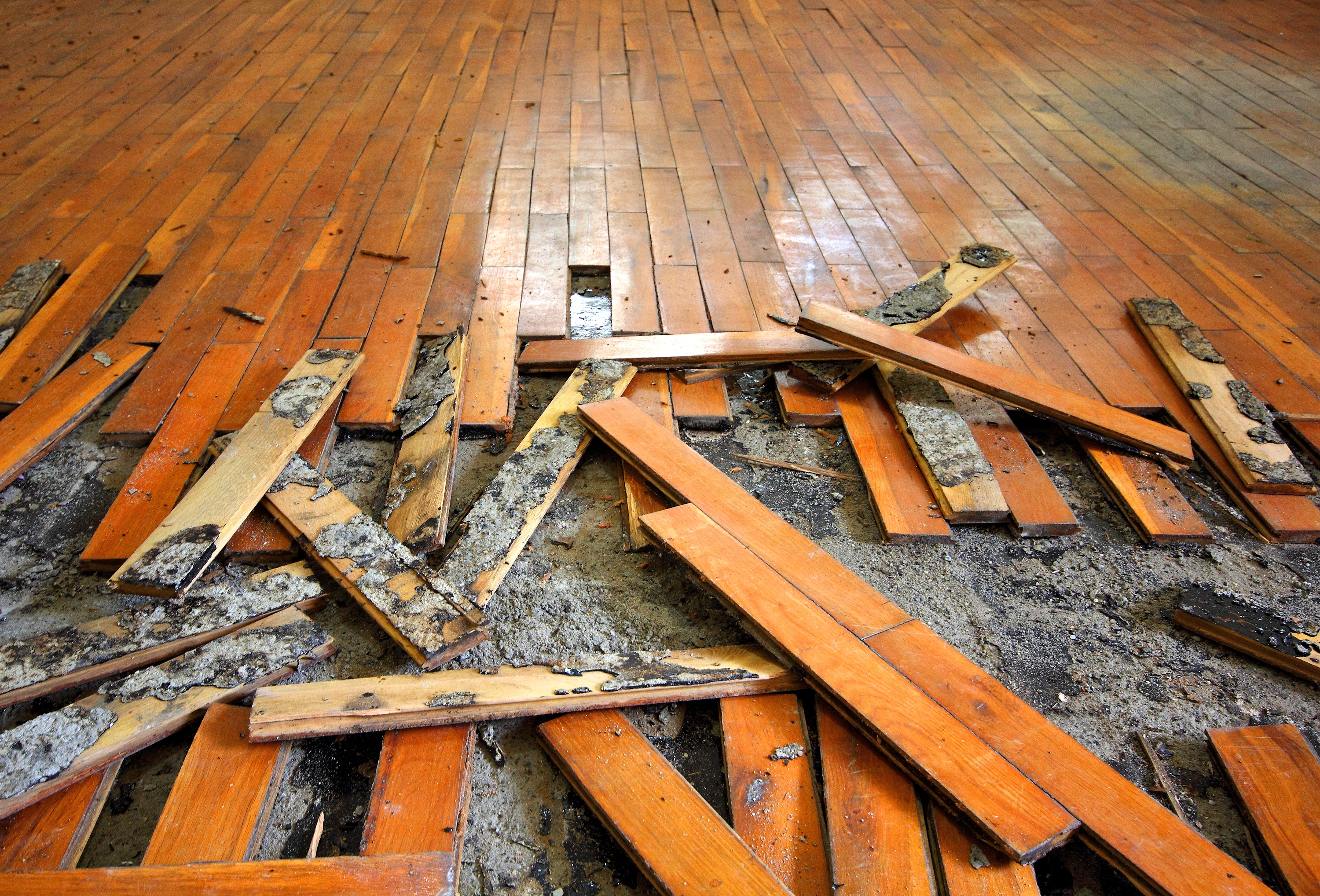 Damaged Hardwood Flooring