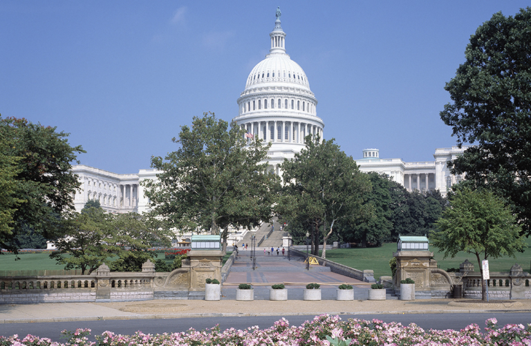 US Capitol View