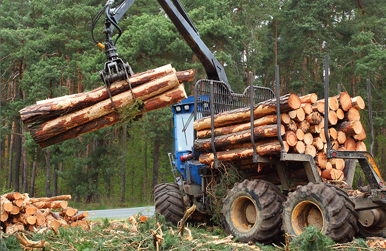 Tractor hauling timber on forestland property