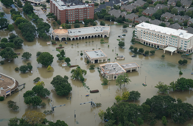 Hurricane Damage