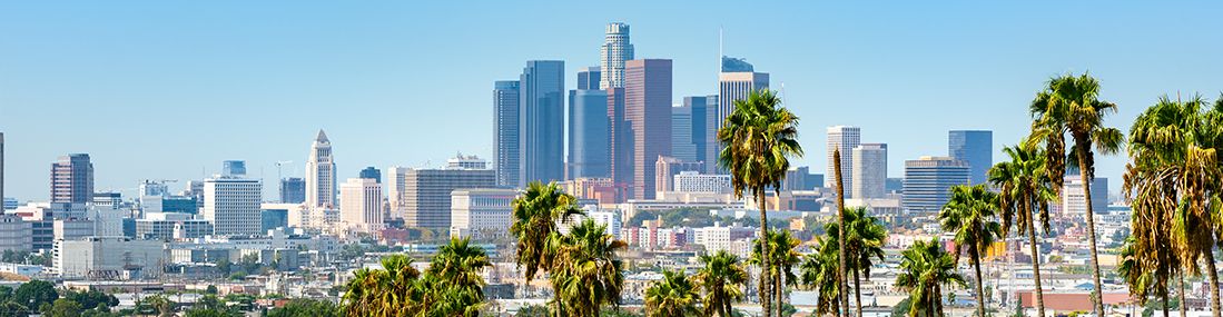 Los Angeles Skyline