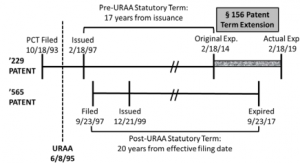 Patent Term Extension