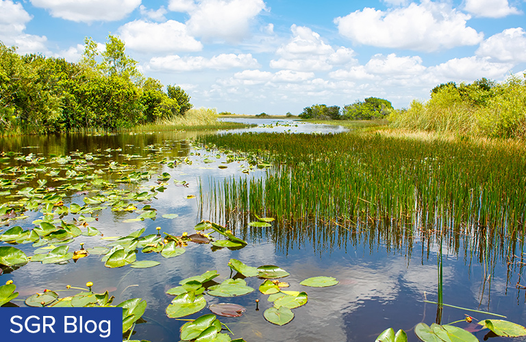 Wetlands - WOTUS rule