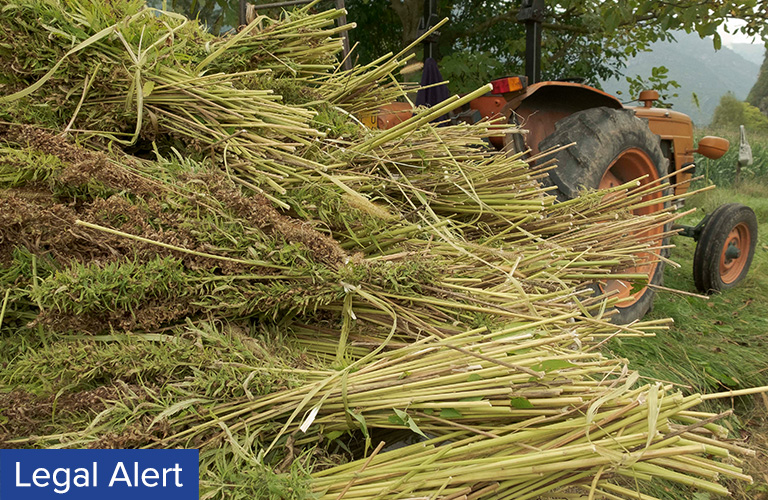 Hemp License to Grow