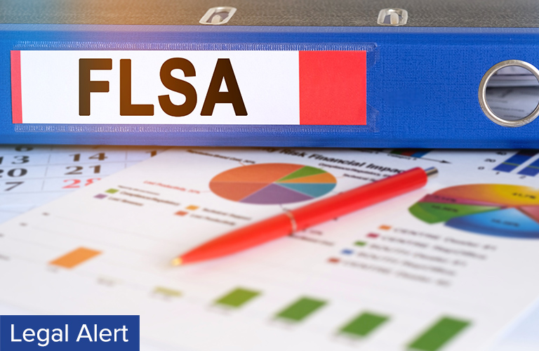 FLSA New Opinions